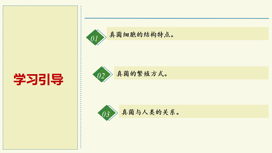 17609260第2页
