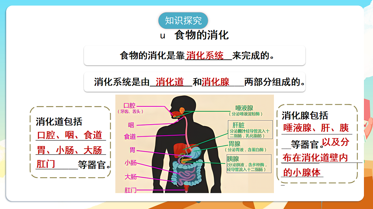 人教版(新课标)生物七下 4.2.2《消化和吸收》课件第6页