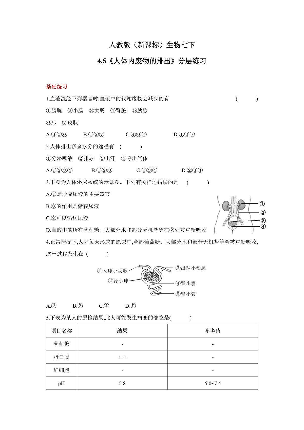 人教版(新课标)生物七下 4.5《人体内废物的排出》分层练习第1页