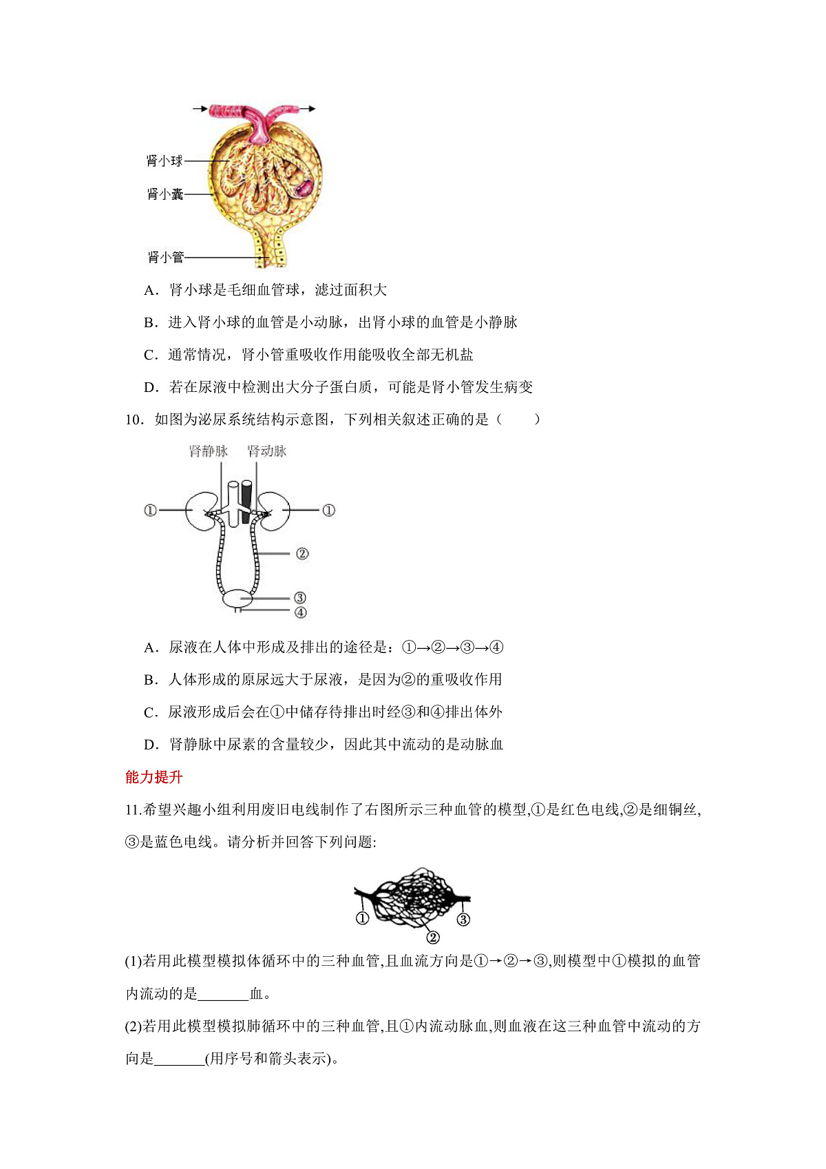 人教版(新课标)生物七下 4.5《人体内废物的排出》分层练习第3页