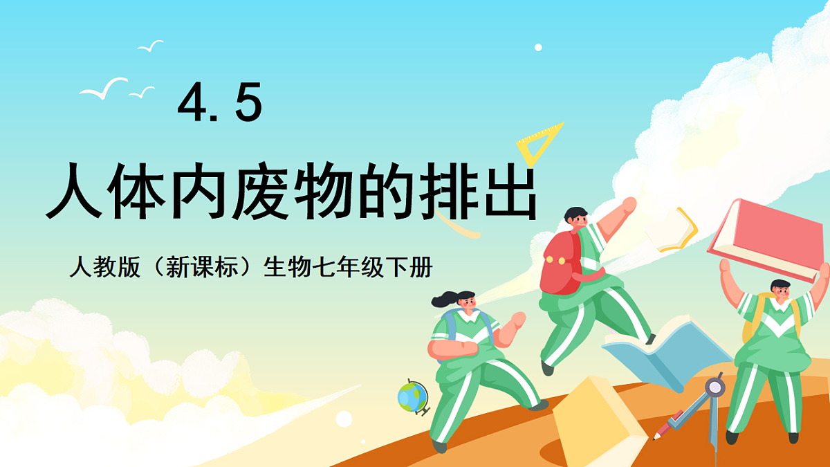 人教版(新课标)生物七下 4.5《人体内废物的排出》课件第1页