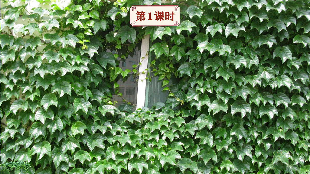 17612590第1页