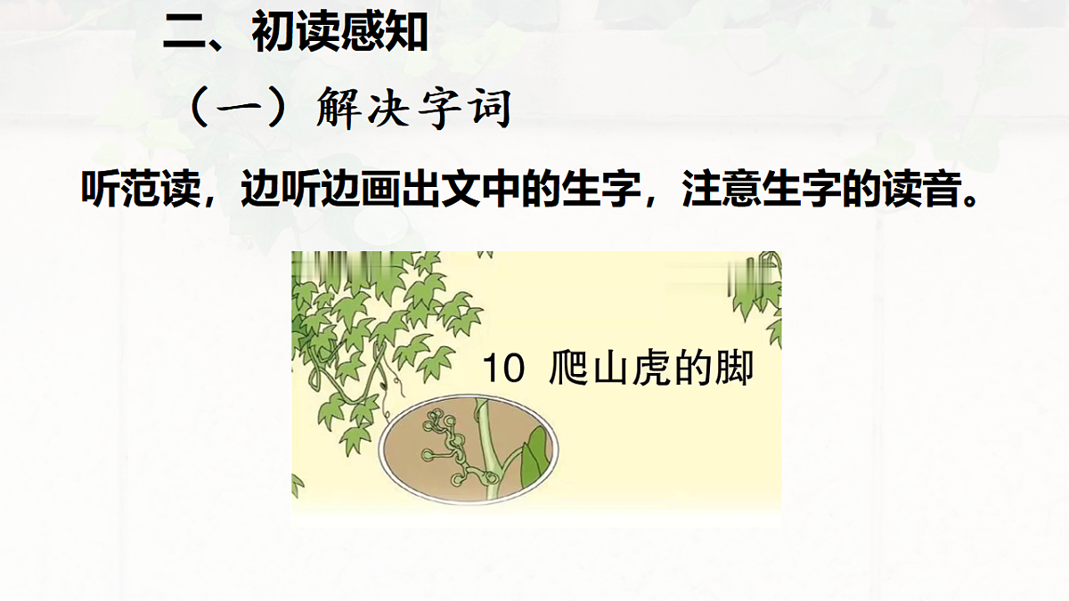 17612590第5页