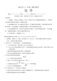 湖南省A佳联考2025-2026学年高三上学期11月期中考试化学试题（含答案）