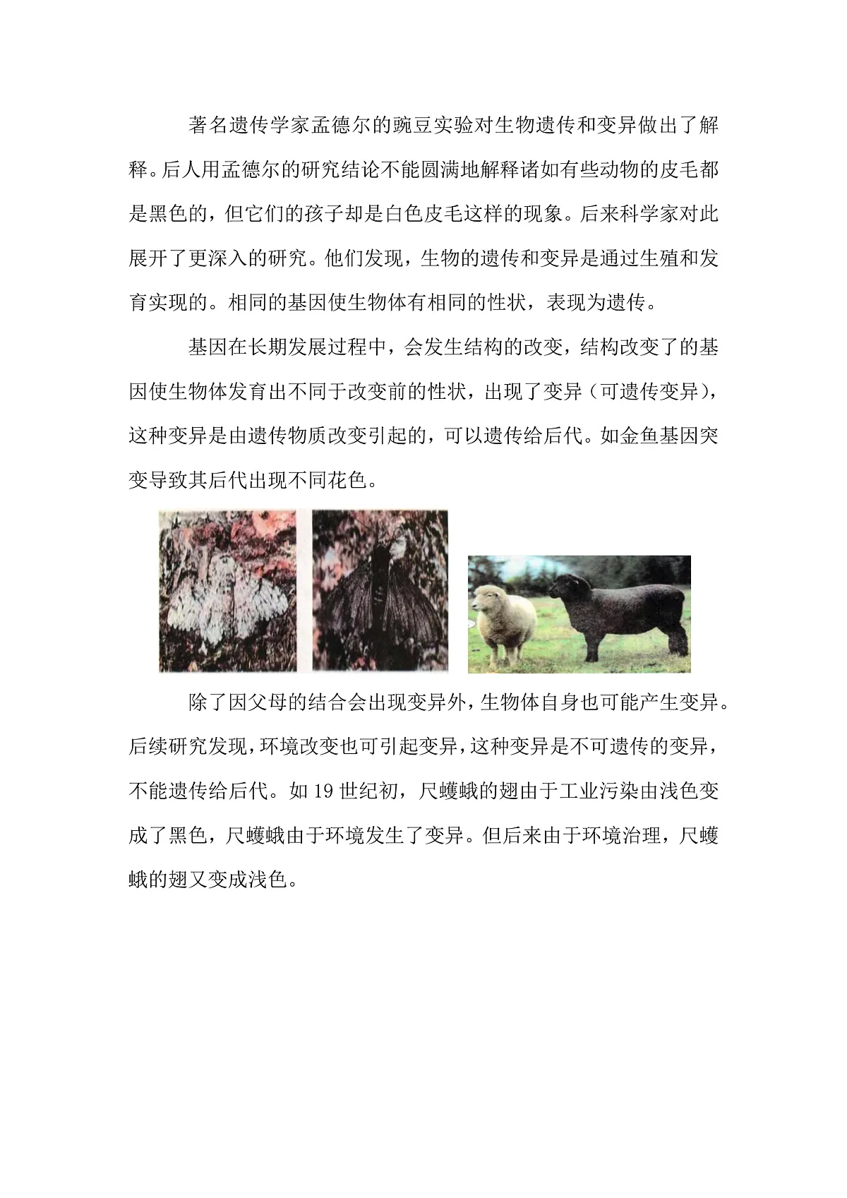 基因突变第1页