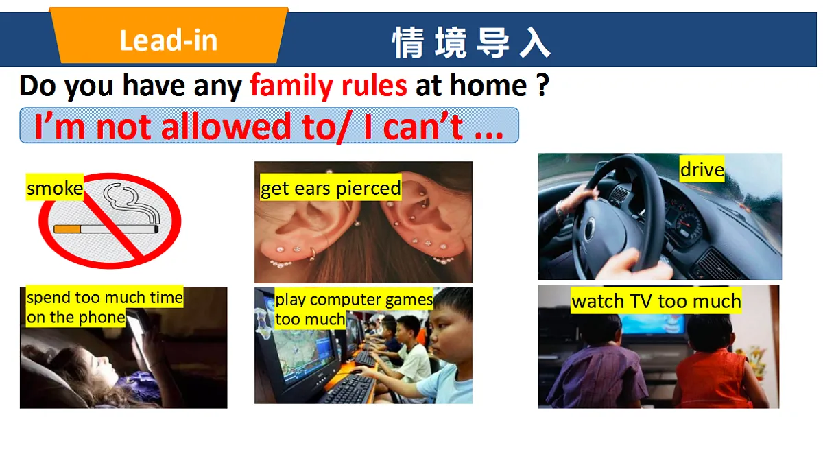 17616907第2页