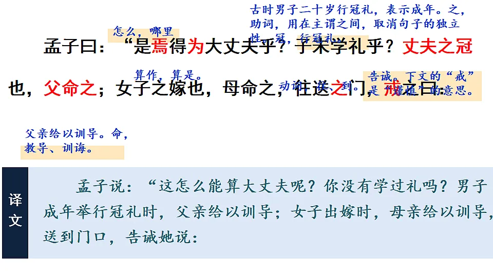 17617139第8页