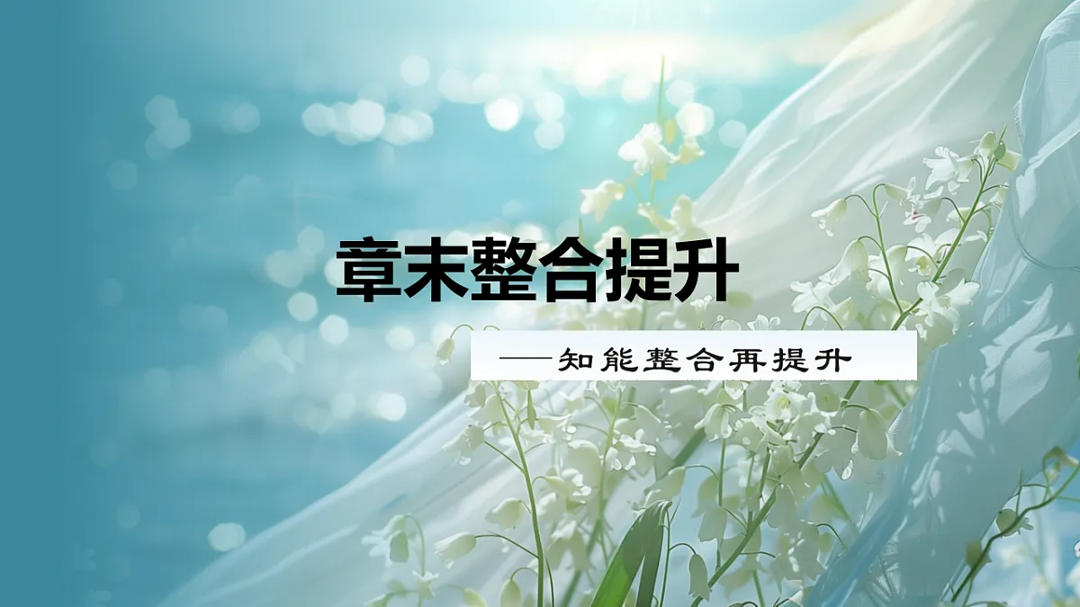 17623635第1页