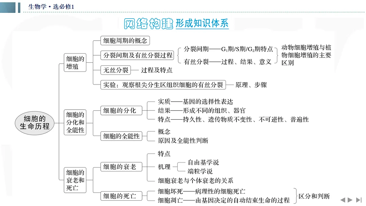 17623635第2页