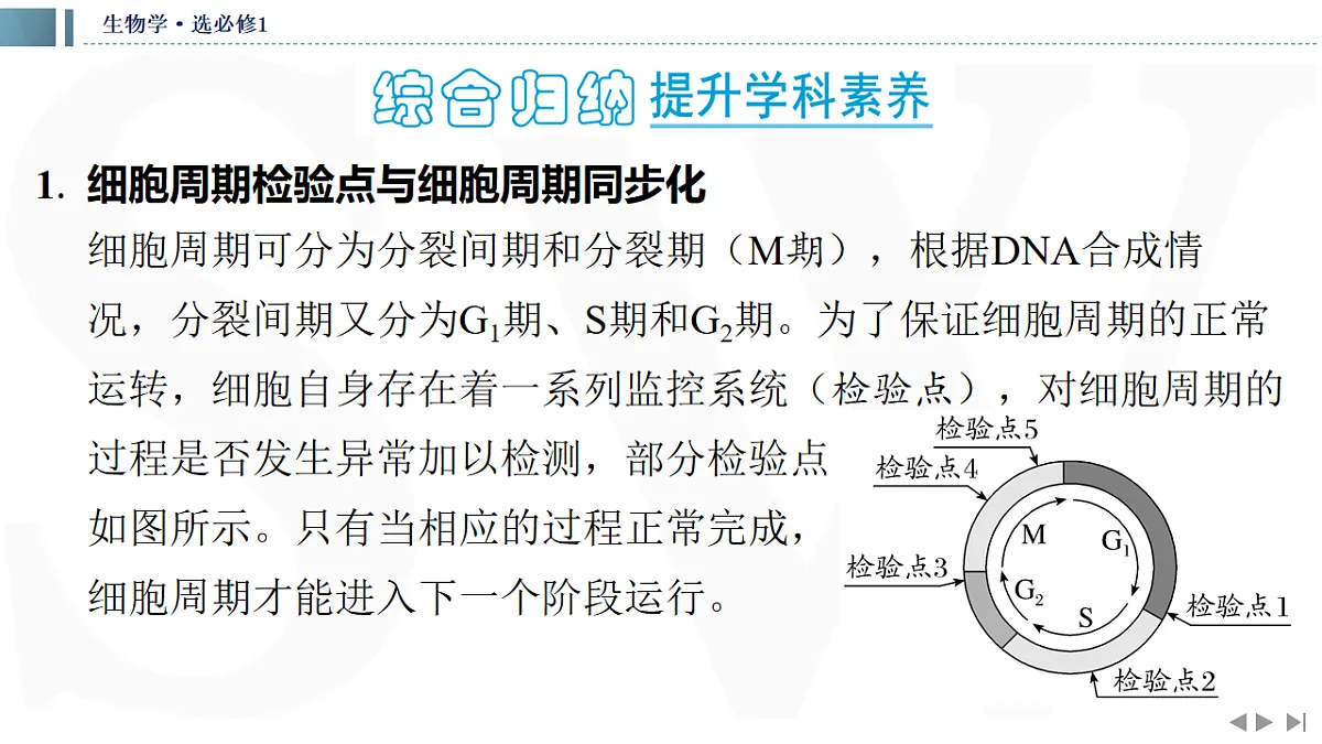 17623635第3页