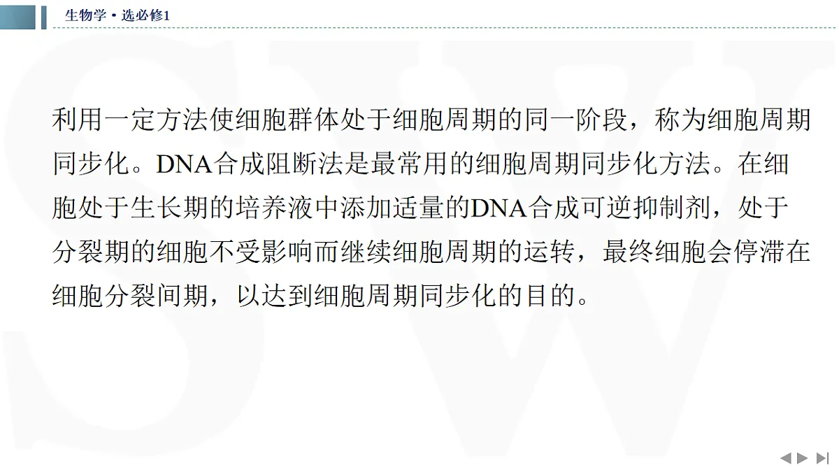 17623635第4页