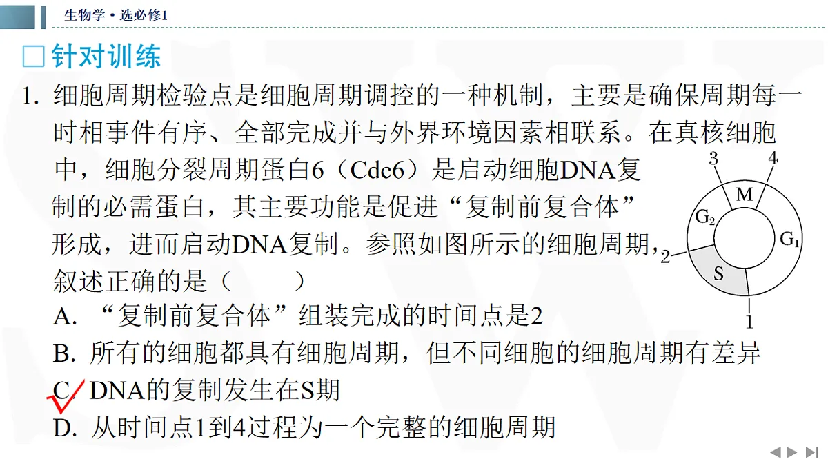 17623635第5页