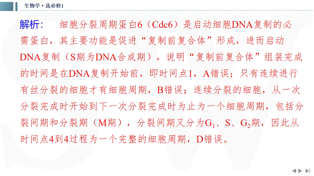 17623635第6页