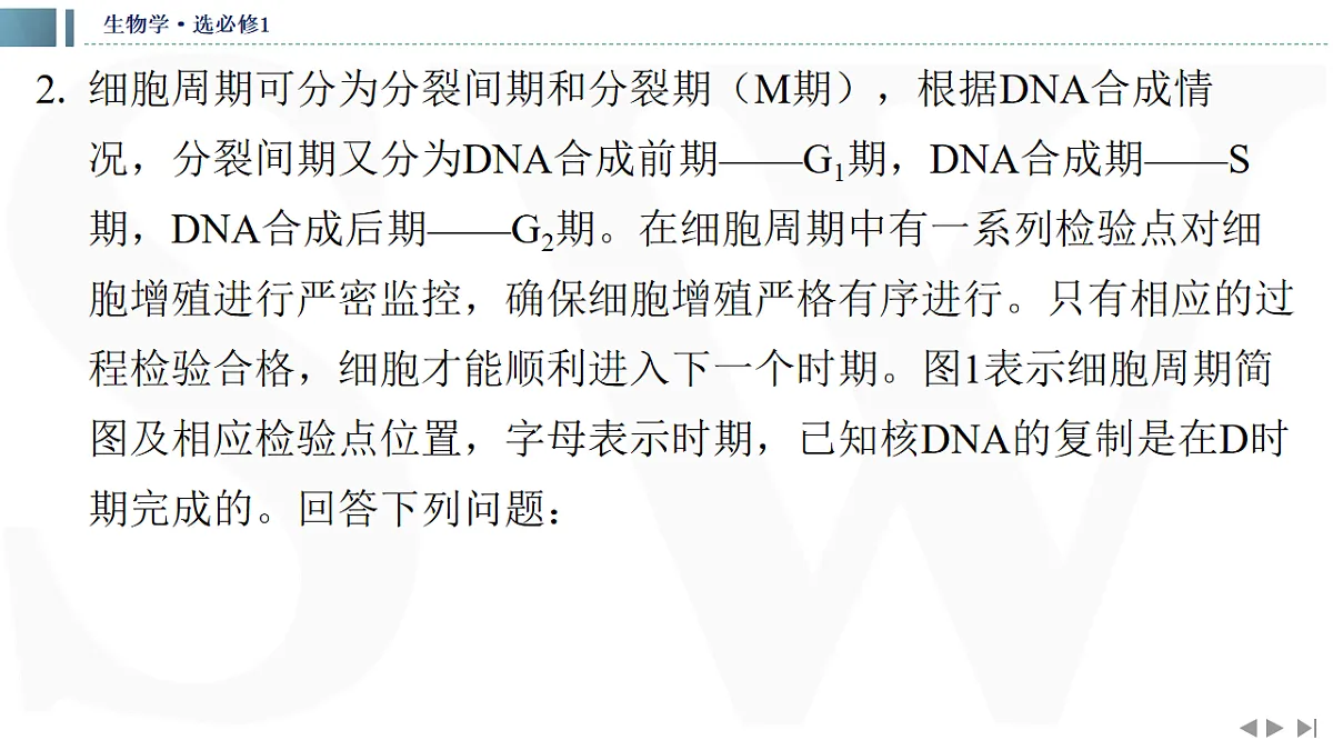 17623635第7页