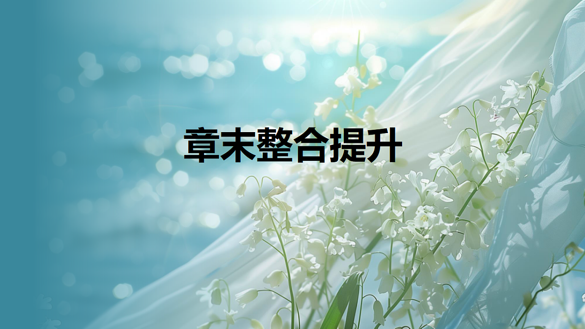 17623637第1页