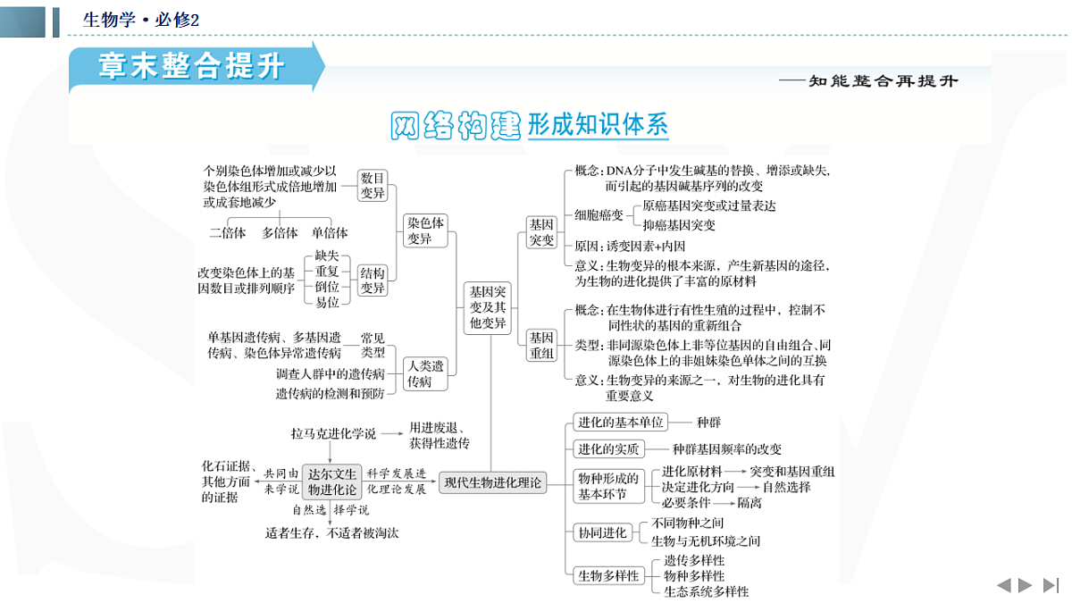 17623637第2页