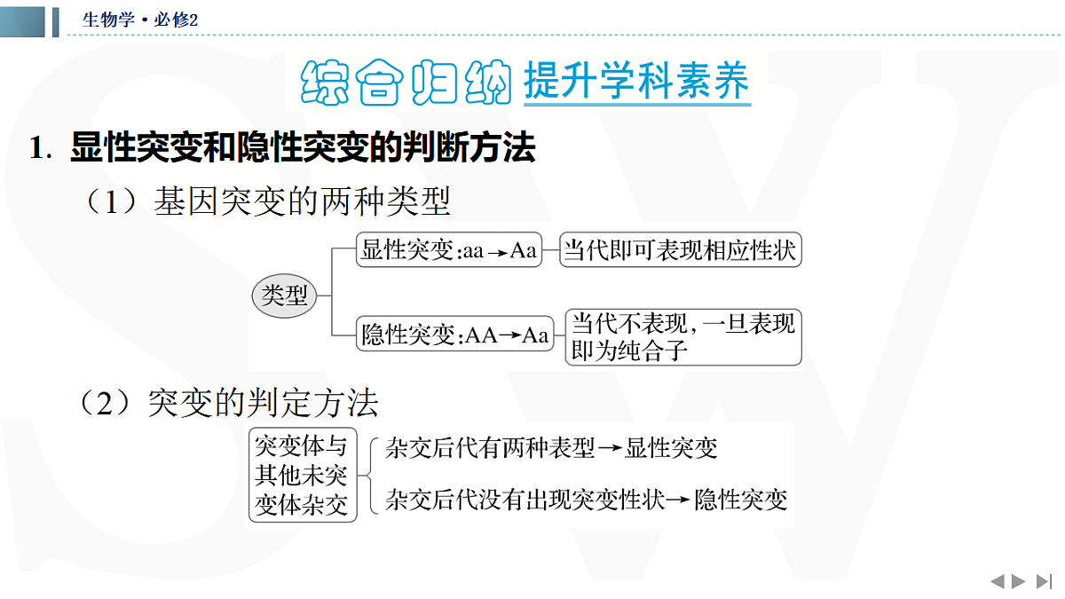 17623637第3页