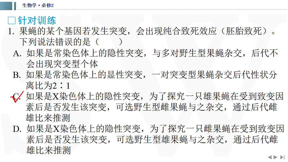 17623637第4页