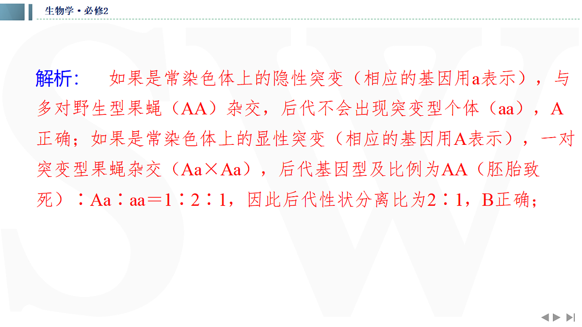 17623637第5页