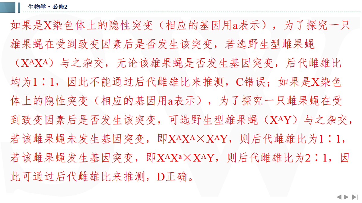 17623637第6页
