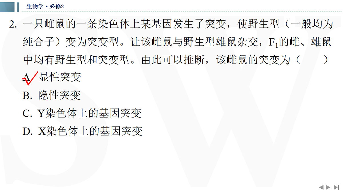 17623637第7页