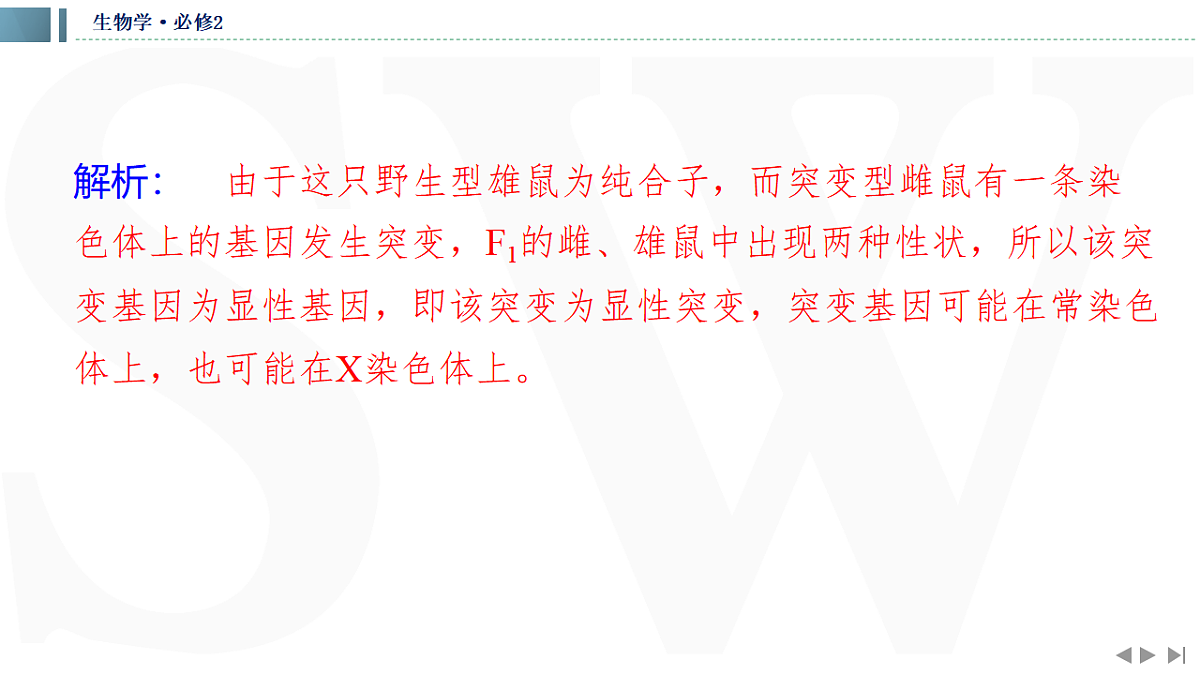17623637第8页