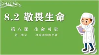 政治 (道德与法治)七年级上册(2024)敬畏生命集体备课课件ppt