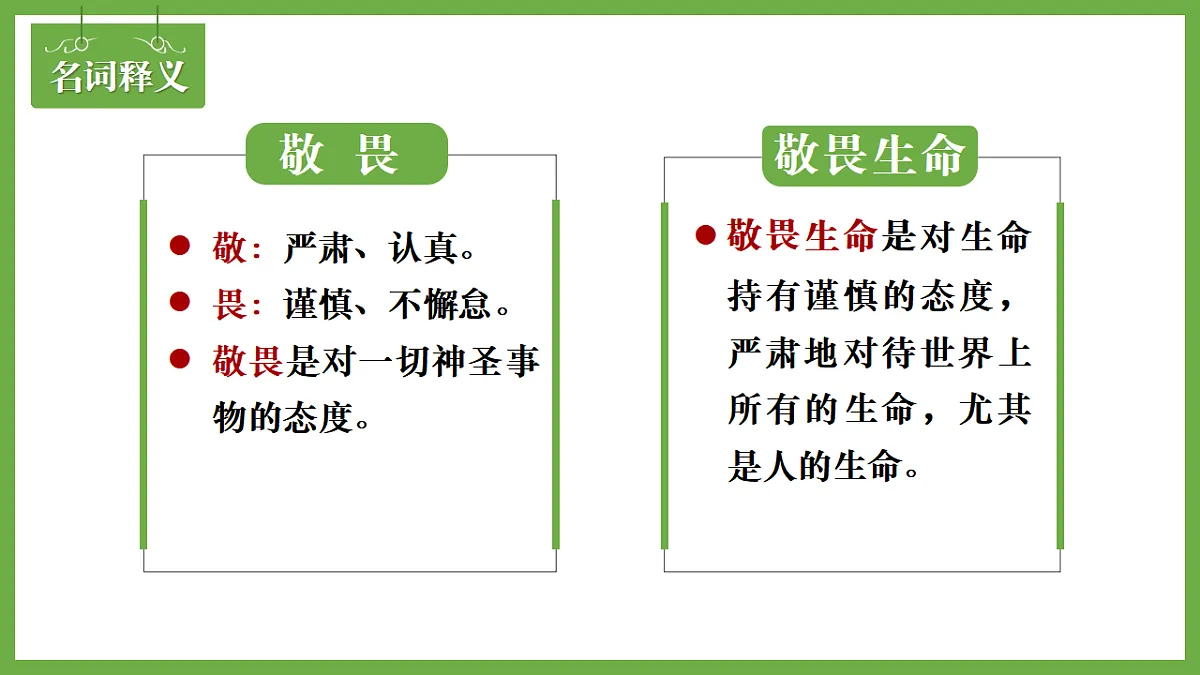 17623846第4页