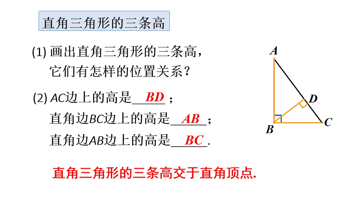 17624080第7页