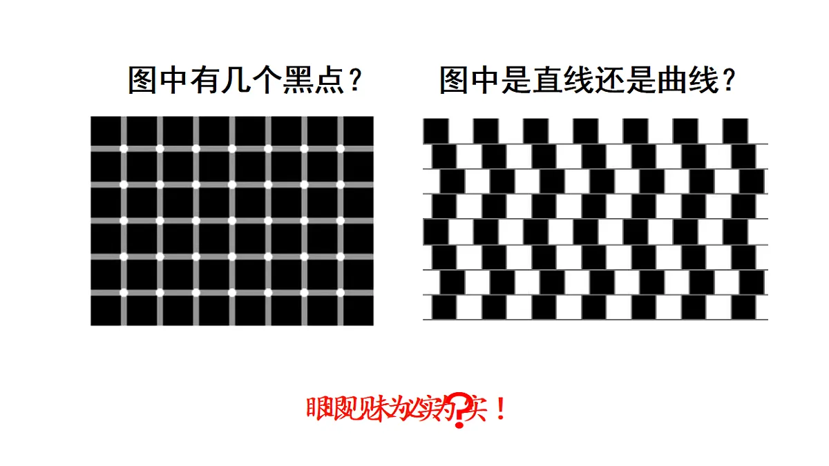17624085第5页
