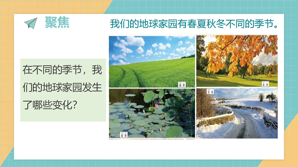 17624432第2页