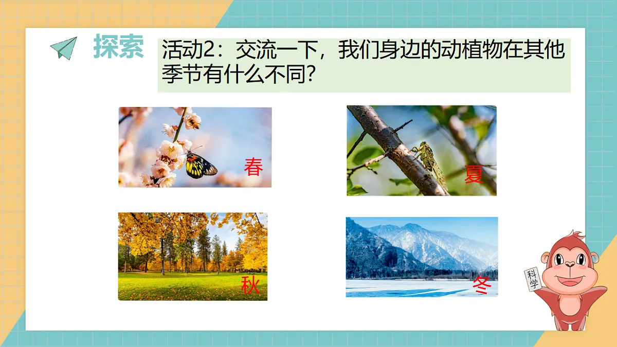 17624432第5页
