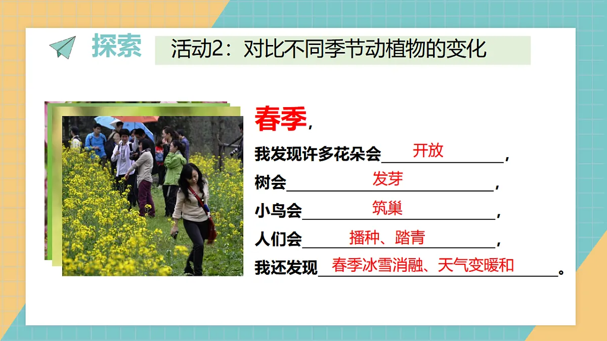 17624432第6页