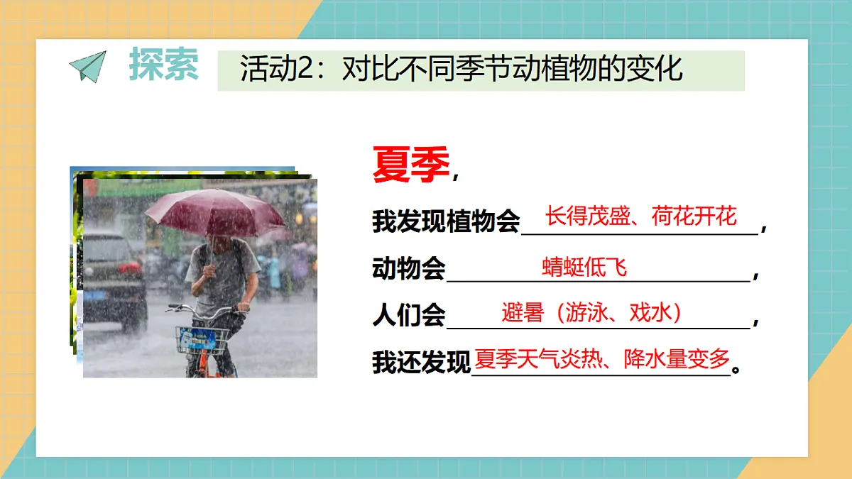 17624432第7页
