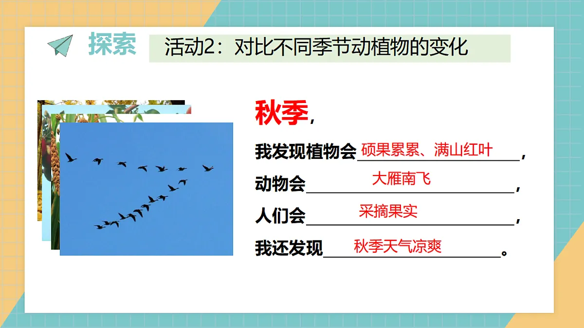 17624432第8页