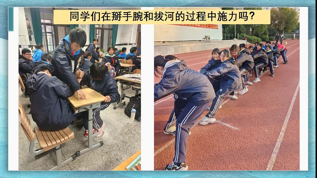 17626302第3页