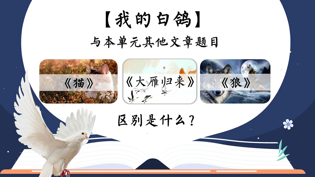17626485第1页