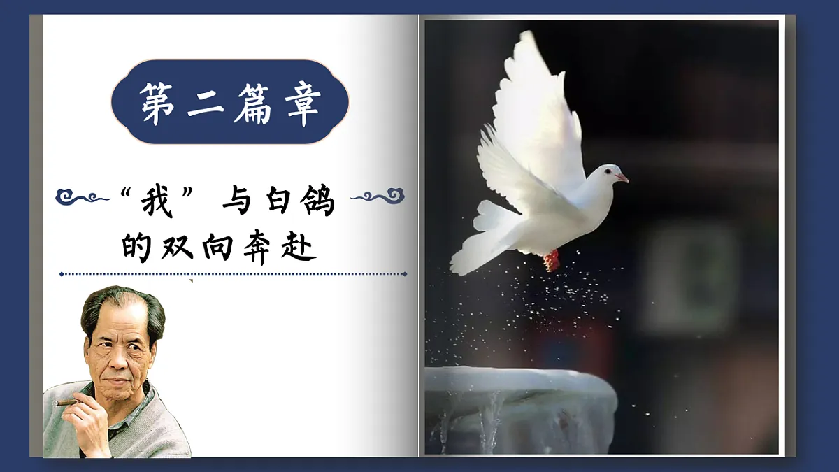 17626485第5页