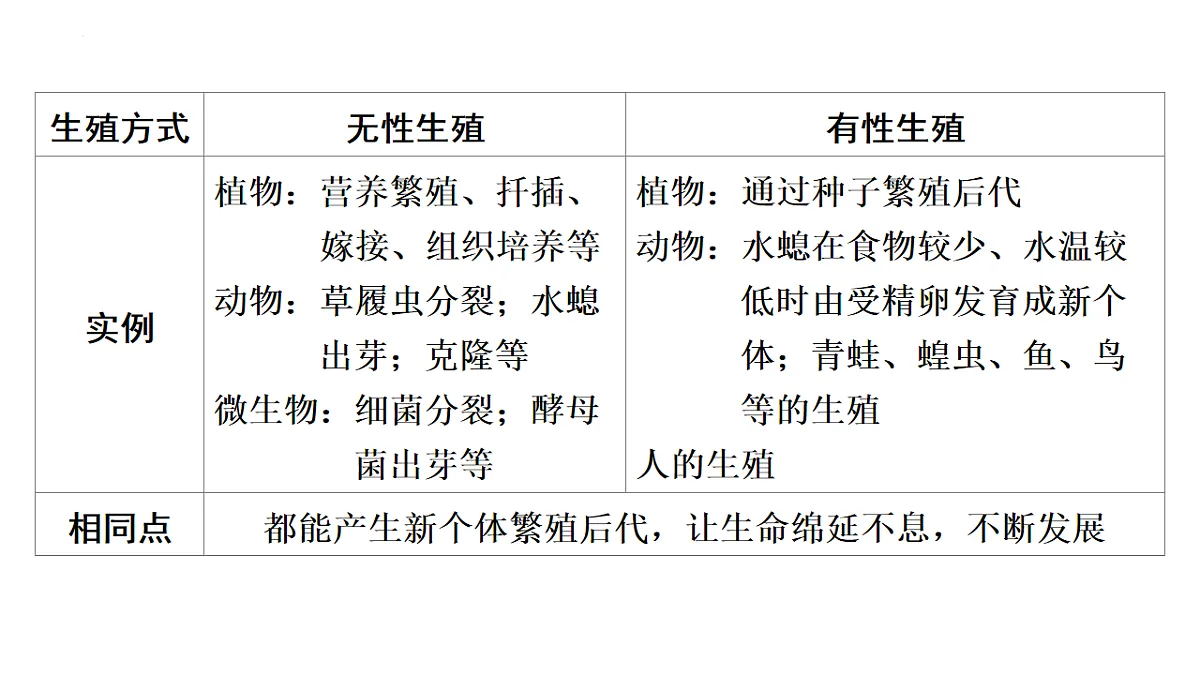 17626522第4页