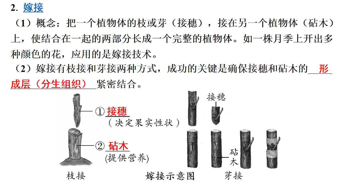 17626522第6页