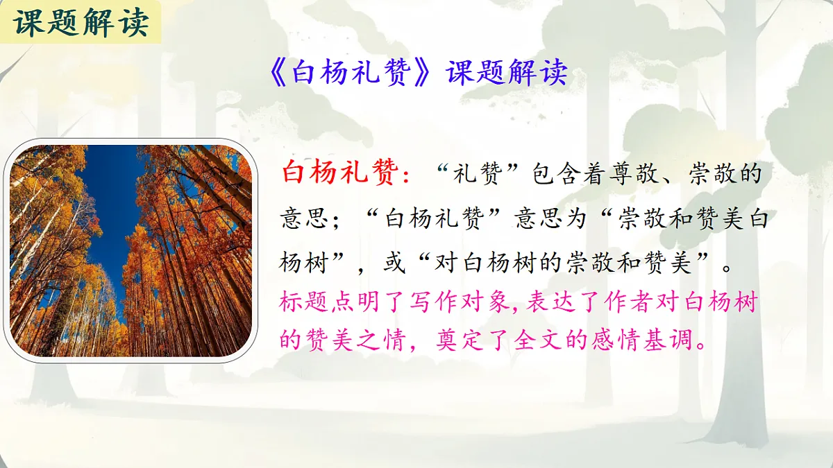 17630889第7页