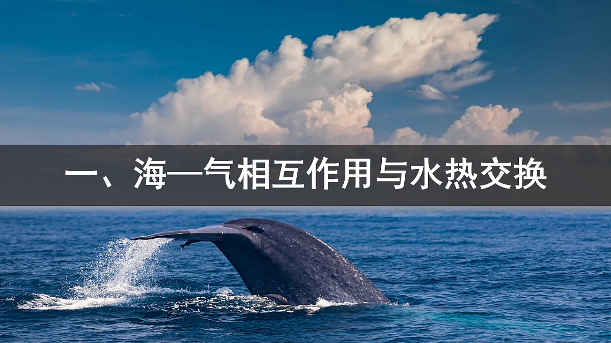 17630906第4页