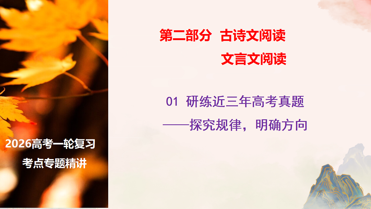 17631296第1页