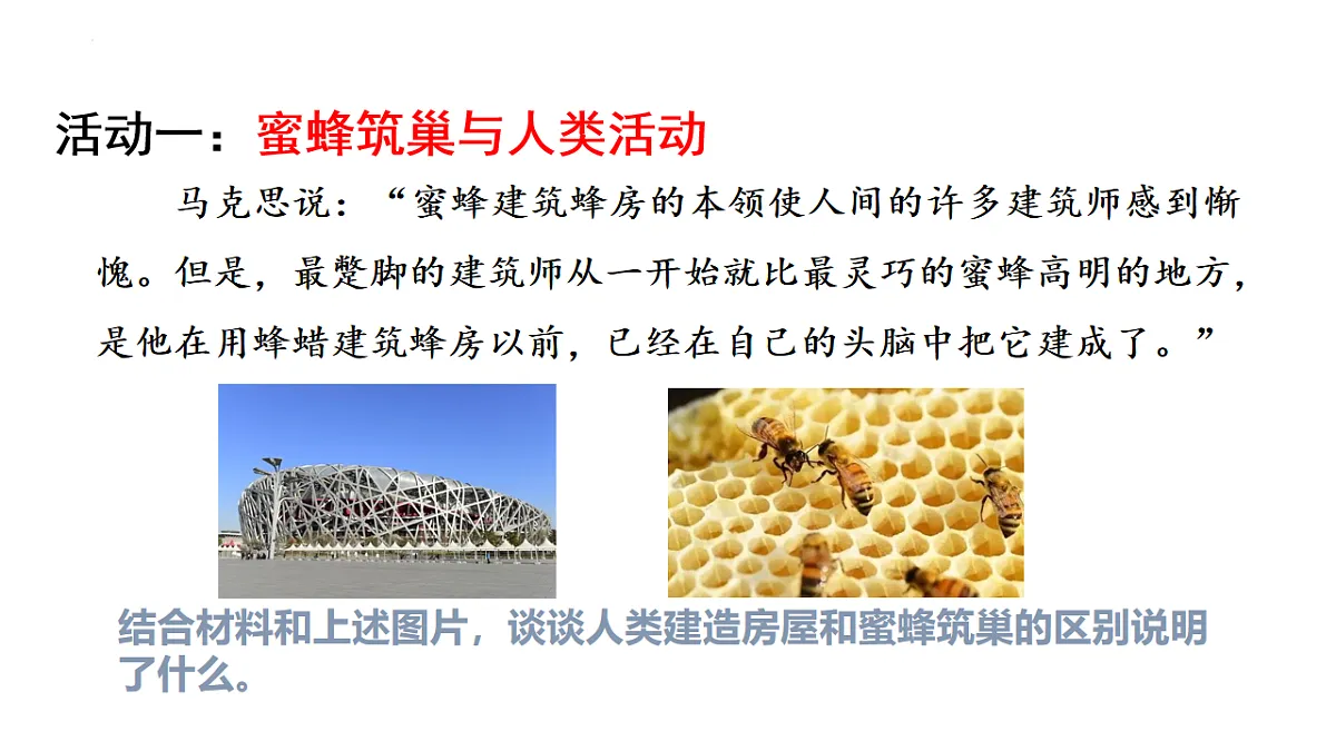 17632329第8页