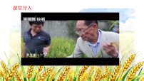 七年级上册（2024）树立正确的人生目标教课内容课件ppt