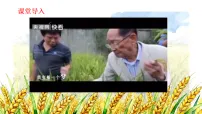 七年级上册(2024)树立正确的人生目标教课内容课件ppt