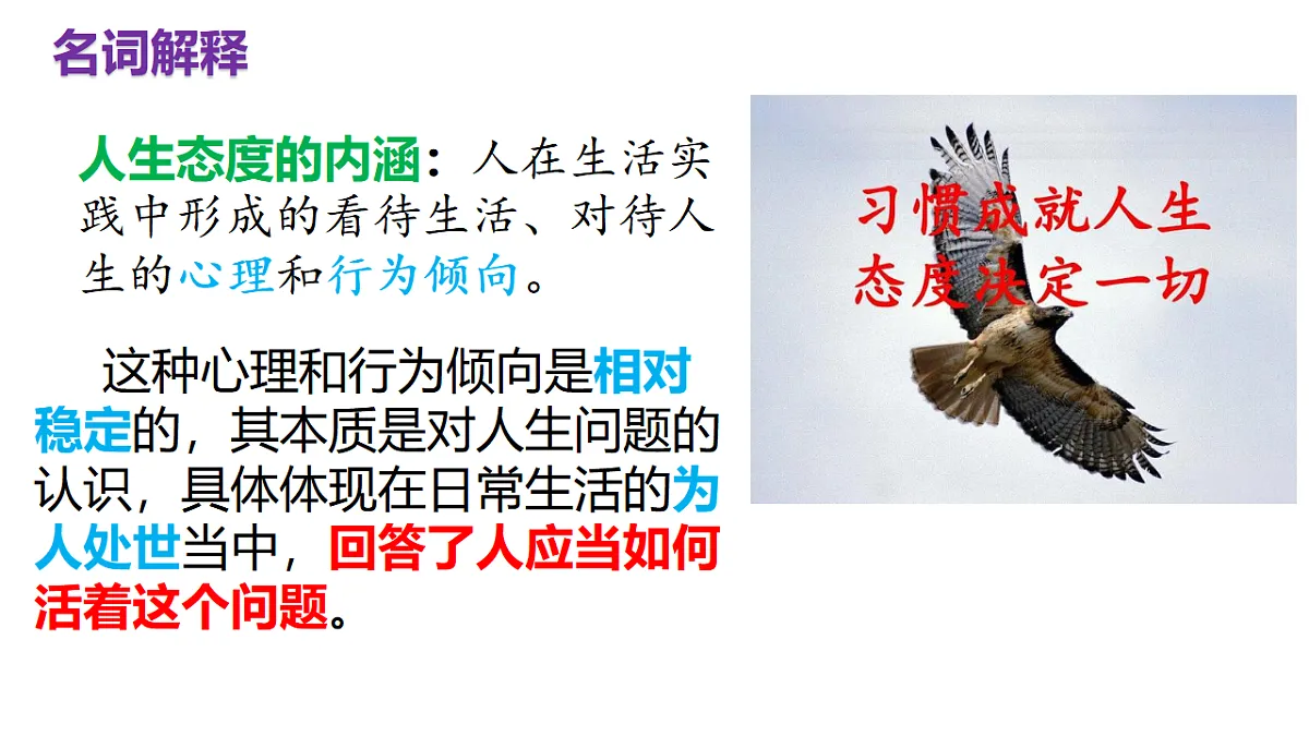 17632334第7页