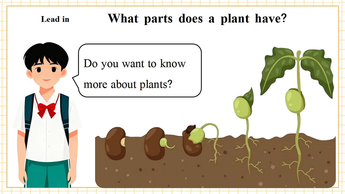 Unit 5 第5课时 Part B Let’s learn&Look, write and say(教学课件)英语人教PEP版五年级上册(新教材)第5页