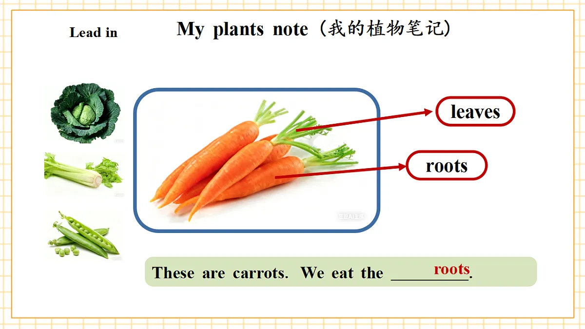 Unit 5 第6课时 Part B Read and write&Part C(教学课件)英语人教PEP版五年级上册(新教材)第5页