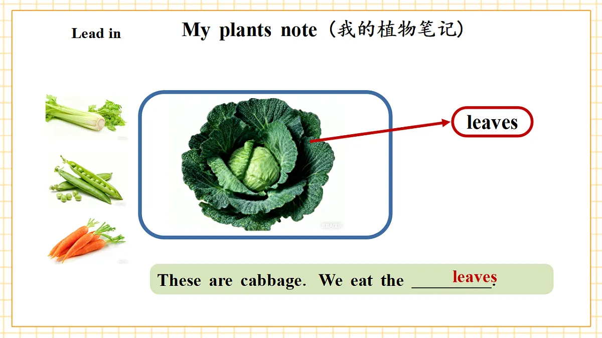Unit 5 第6课时 Part B Read and write&Part C(教学课件)英语人教PEP版五年级上册(新教材)第6页